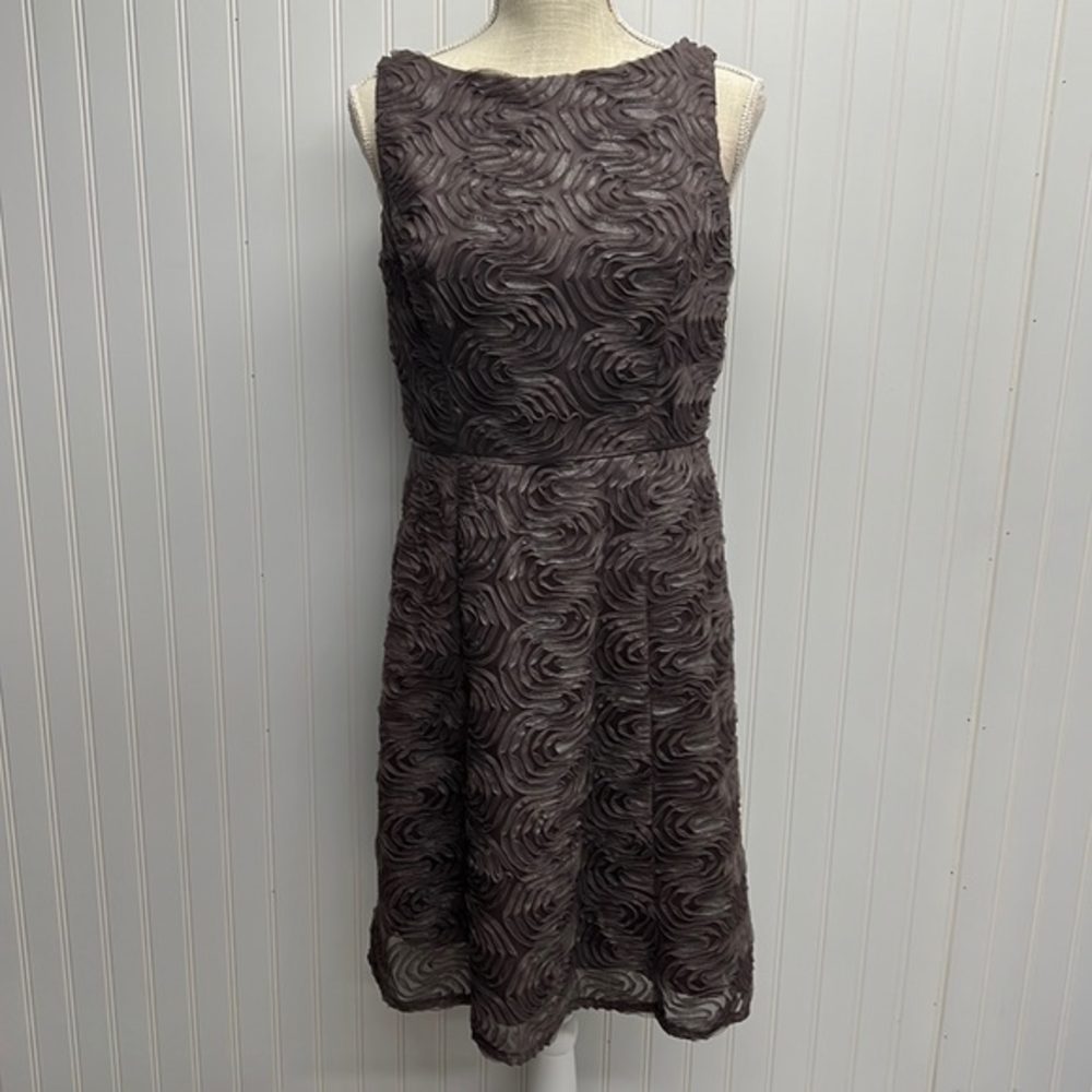 Adrianna Papel Silver Shimmer Embroidered‎ Ribbon Dress Sz 10